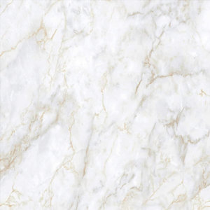 Piso Semigres Phd70170r 74 X 74 Retificado Inout